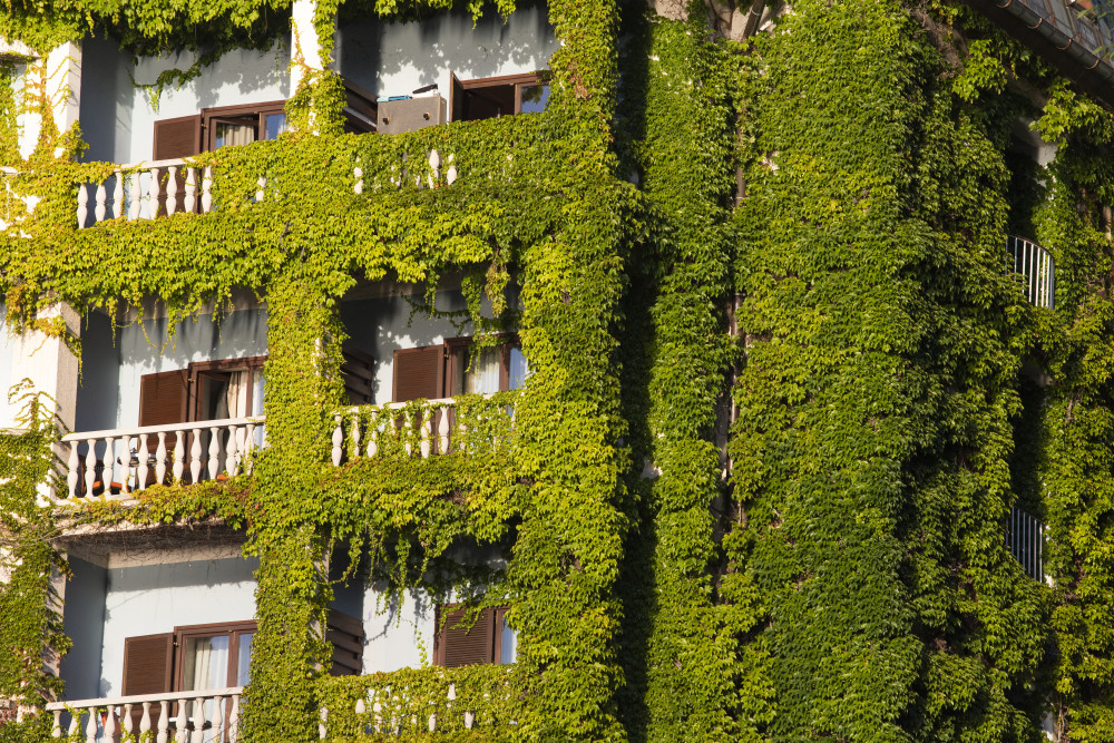 Éco-construction: les nouveaux standards pour bâtir durable