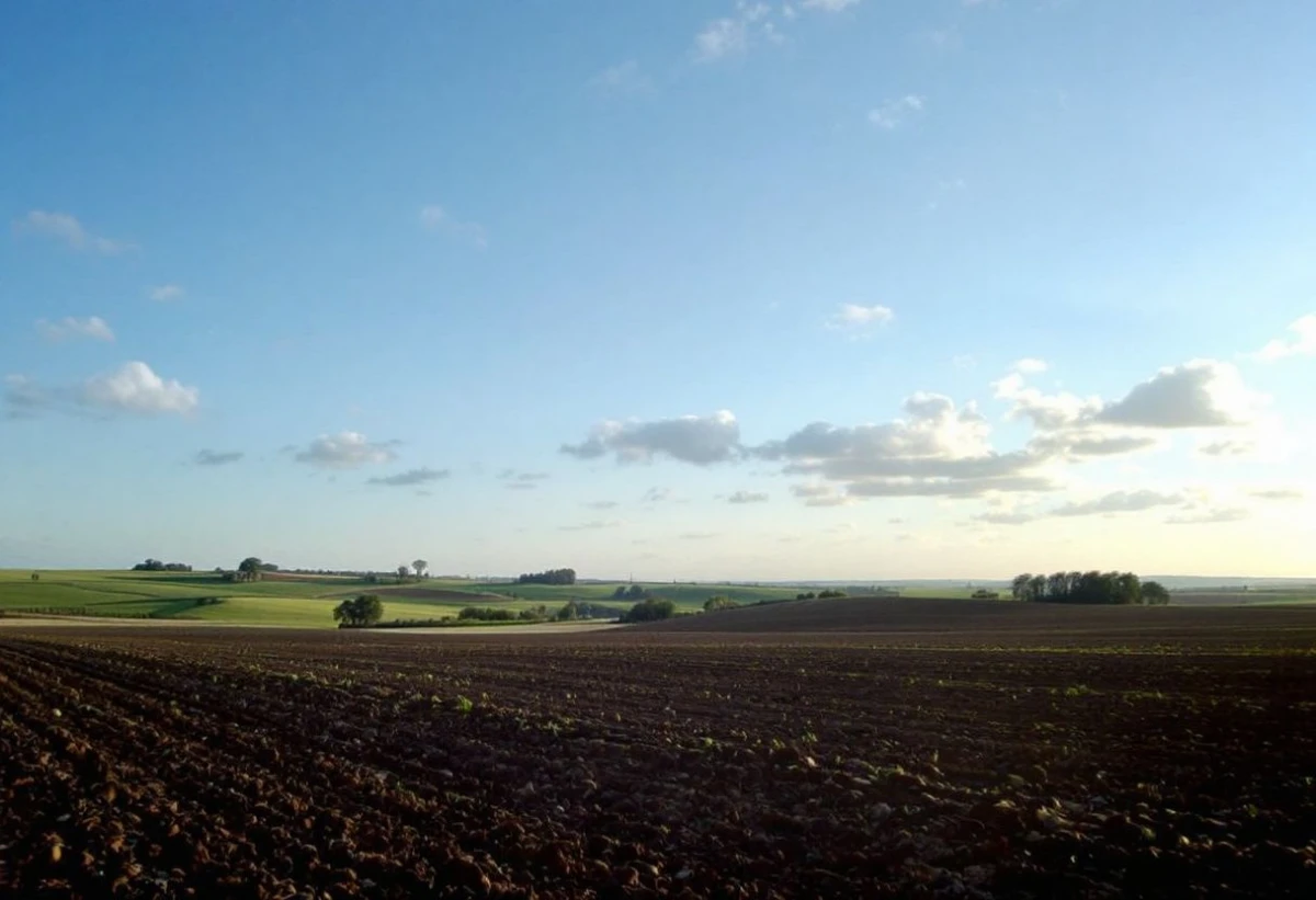 Acquérir une propriété avec terrain agricole : défis et opportunités