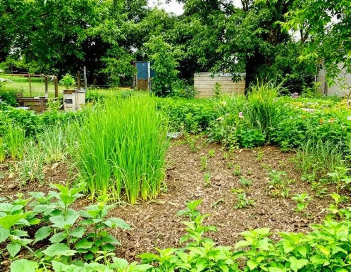 5 Conseils Essentiels pour la Construction sur un Terrain Agricole : Guide Expert